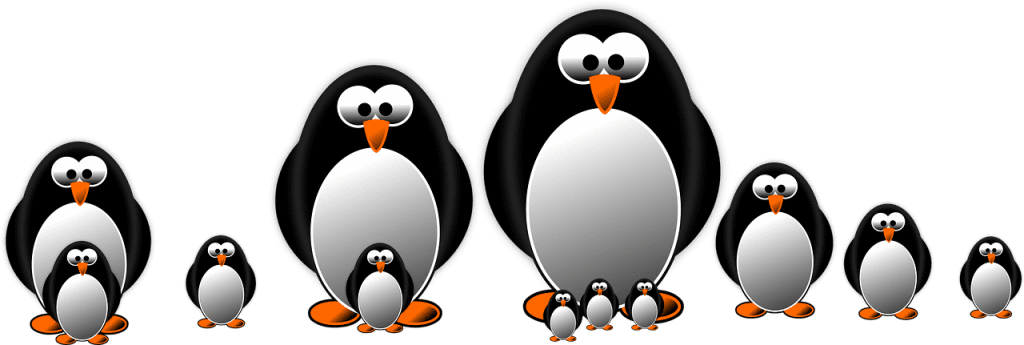 penguin