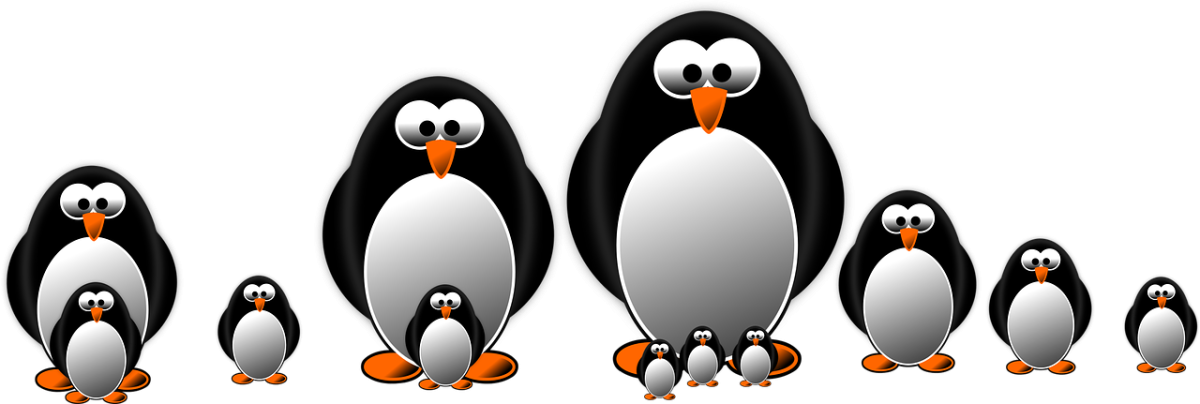 penguin